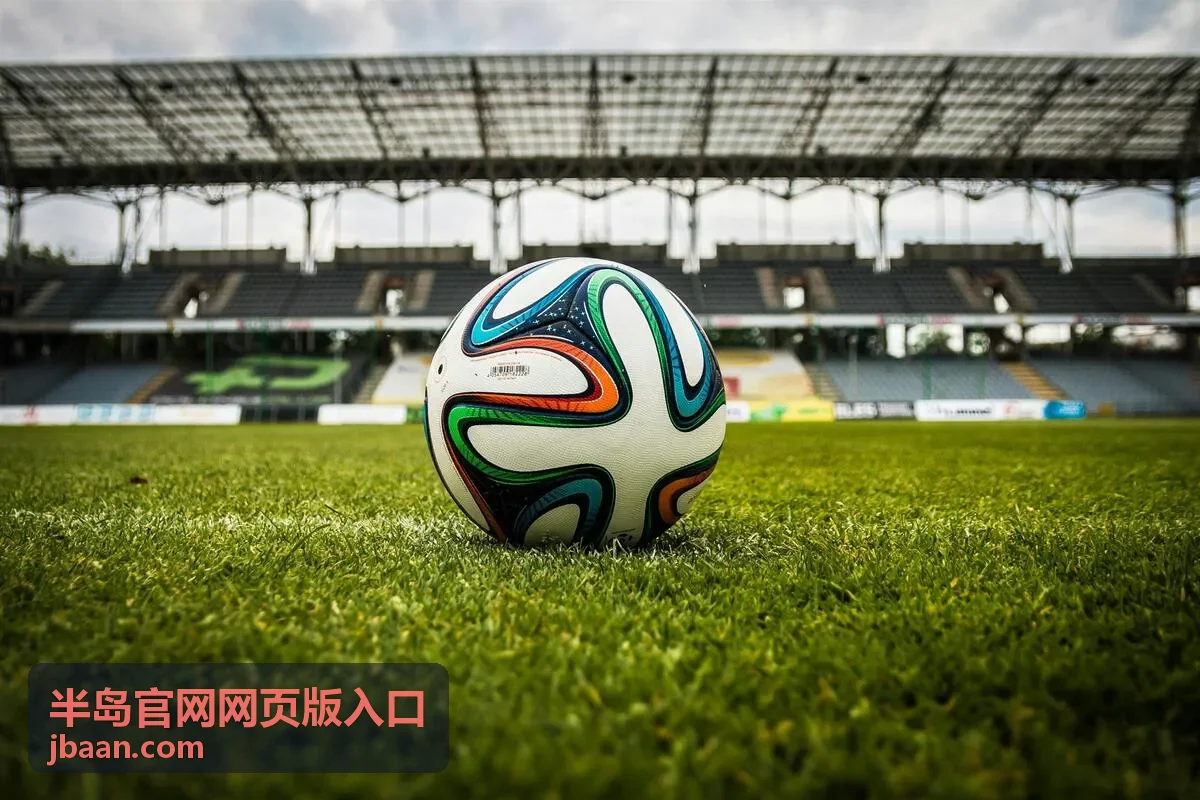 半岛官网网页版入口界面场景示意